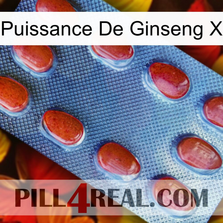 Ginseng Power X 06